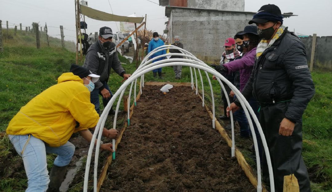 Páramos, agricultura: Con microtúneles se conservan los cultivos en el Páramo de Letras
