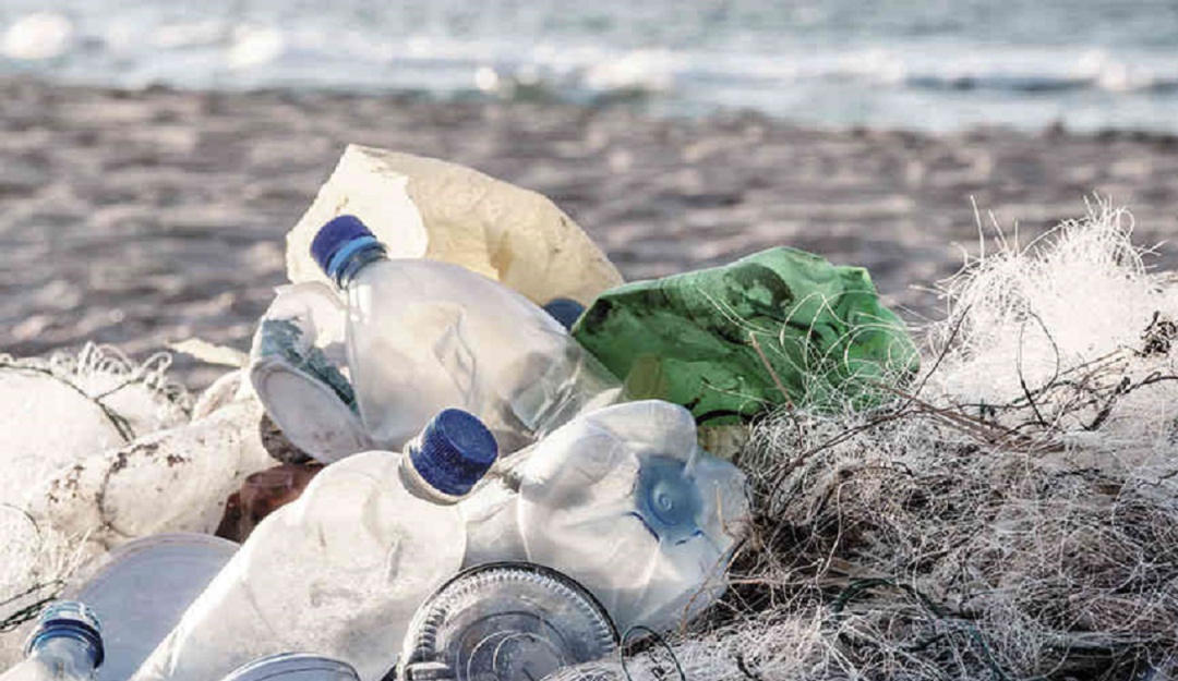 Se estancó en la Cámara la ley contra los plásticos de un solo uso Se estancó en la Cámara la ley contra los plásticos de un solo uso