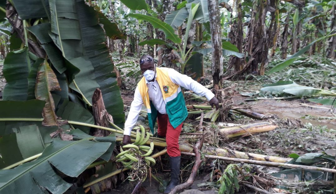 Inundados, Vigia, Antioquia, cultivos, emergencia: En Vigía del Fuerte hay más de 2 mil damnificados por inundaciones