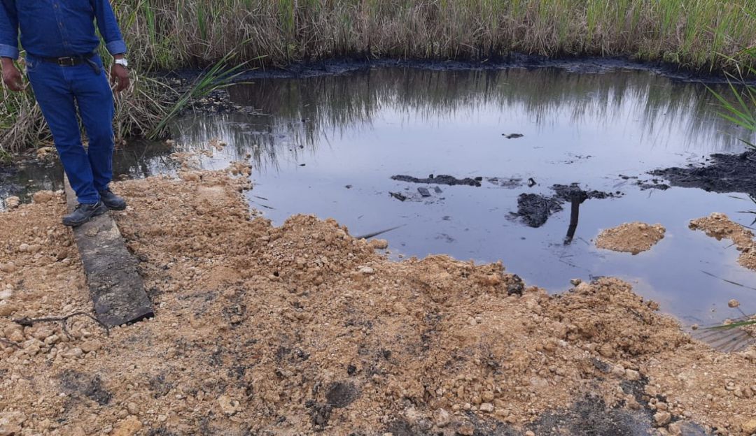 EPA Cartagena Mamonal: EPA Cartagena suspende trabajos de dos empresas en Mamonal