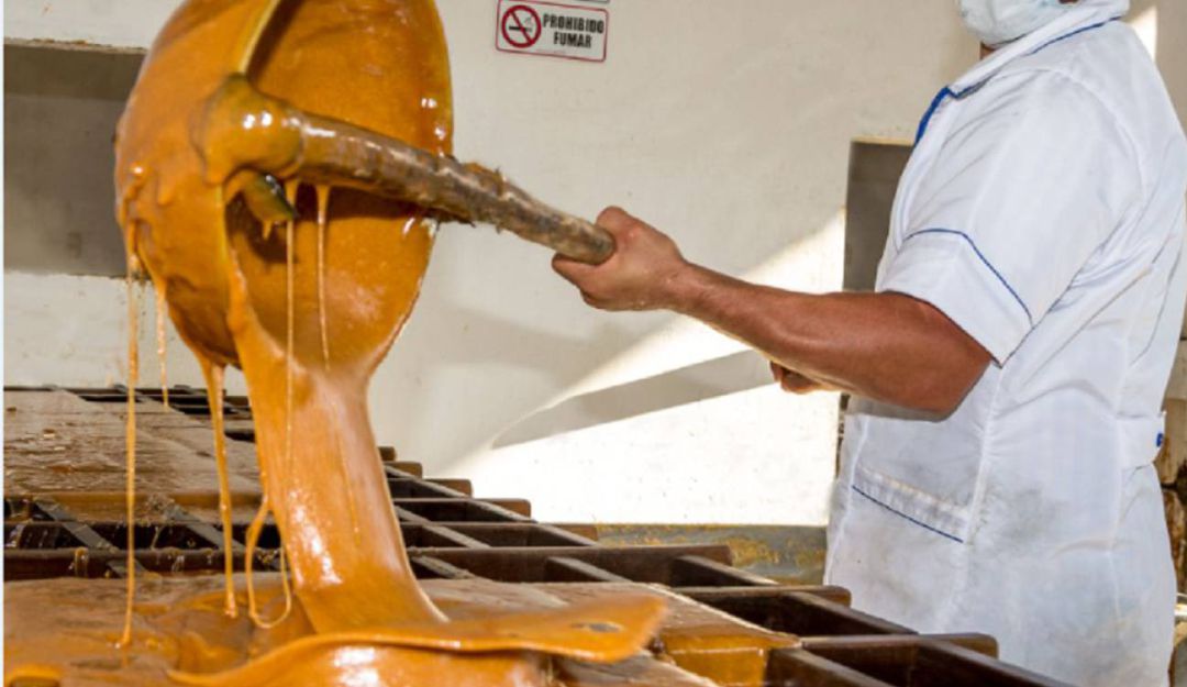 En Antioquia la panela será declarada patrimonio cultural