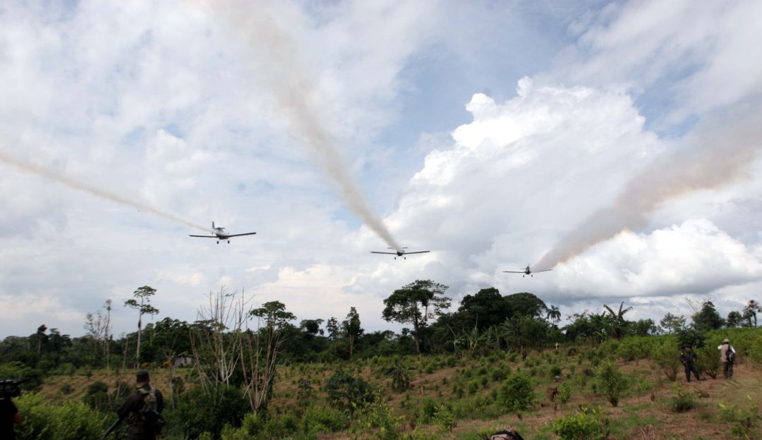 Corte Constitucional: Se requiere esquema de revisión por aspersión aérea con glifosato