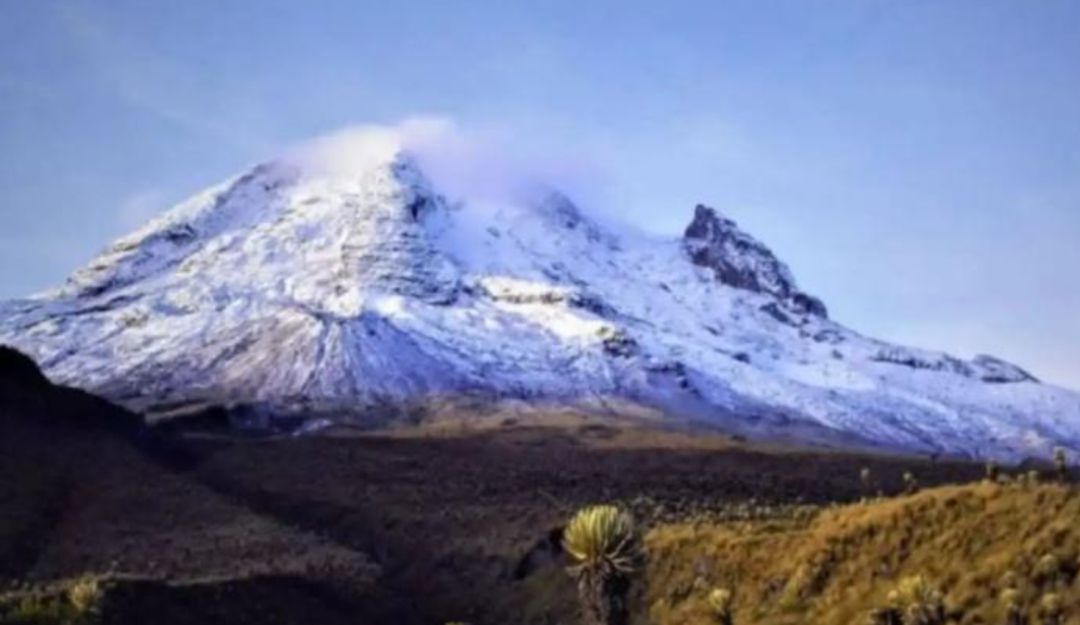 Parque los nevados: Ultimátum al Gobierno para protección y conservación del Parque Los Nevados