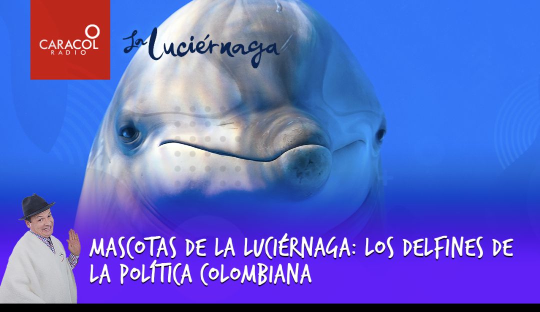 La Luciérnaga Caracol Radio: Mascotas de la Luciérnaga: los delfines de la política colombiana