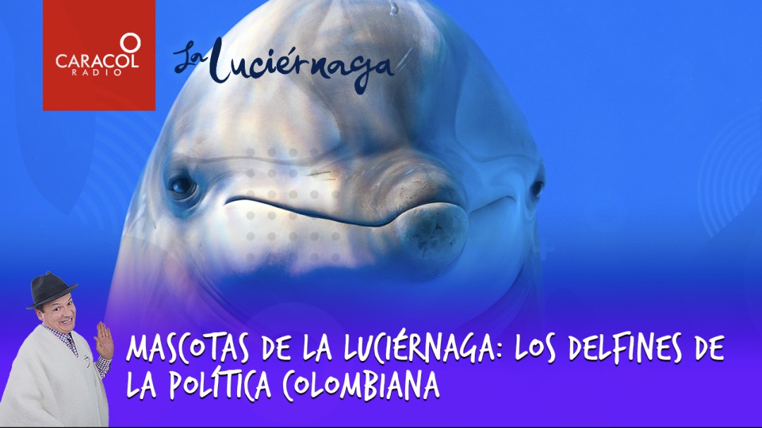 Mascotas de la Luciérnaga: los delfines de la política colombiana
