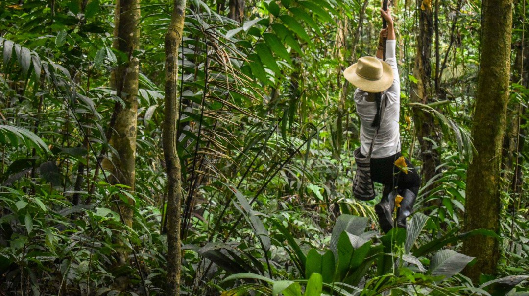 Jardín Botánico del Pacifico, Un paraíso para el descanso y la aventura