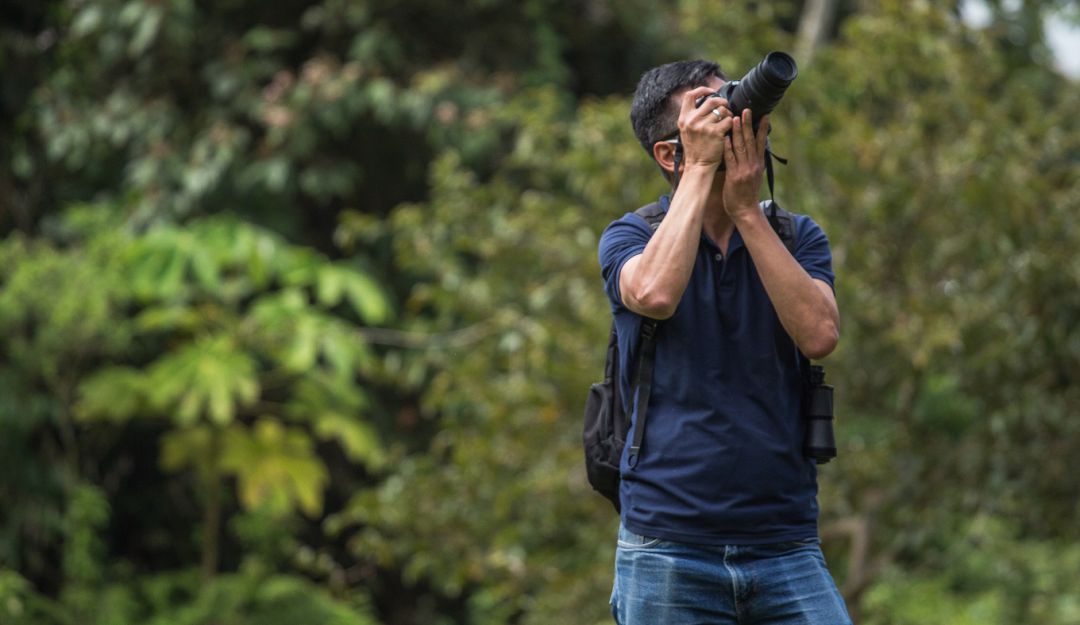 Avistamiento de aves en Manizales