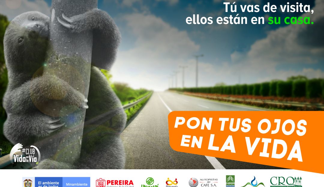 Campaña para la protección de la fauna en las vías