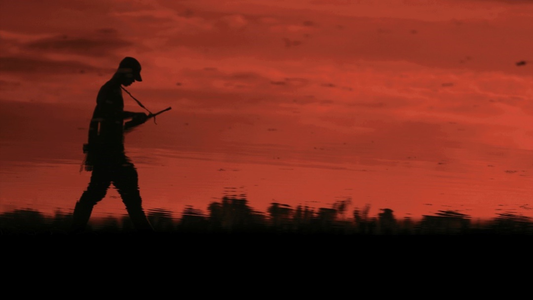 'Colombia in my arms' y las diferentes perspectivas del proceso de paz