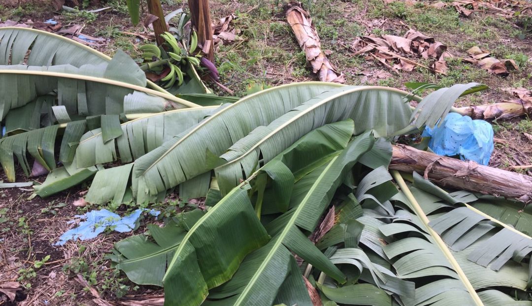 Invierno: Invierno deja afectaciones en el 50% de municipios del Quindío