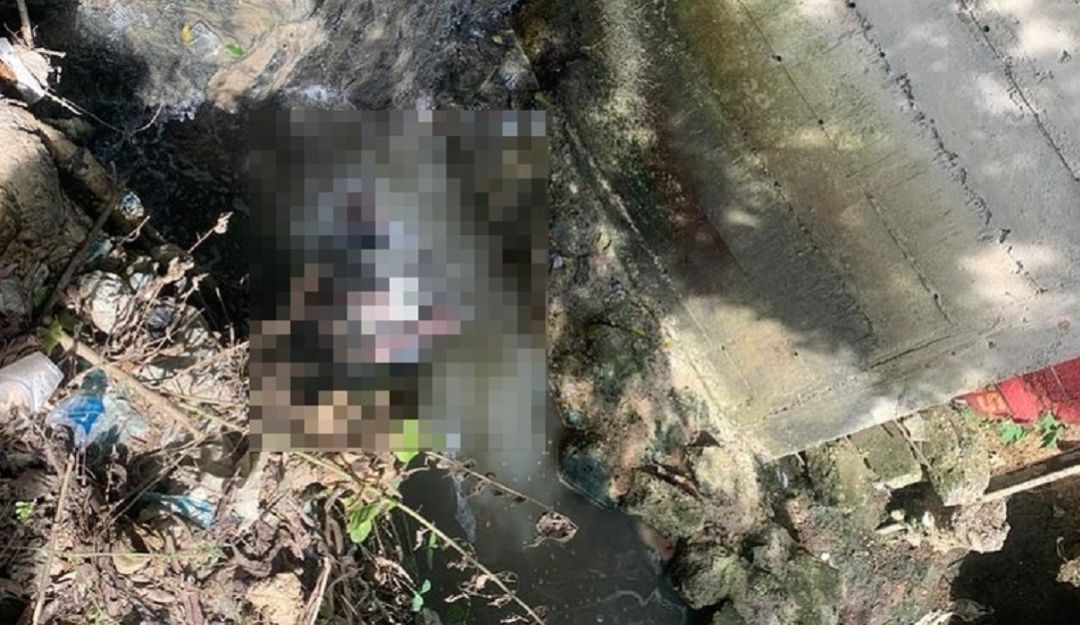 Sucesos en Arjona Bolívar: Hombre muere tras caer en una alcantarilla en zona rural de Arjona, Bolívar