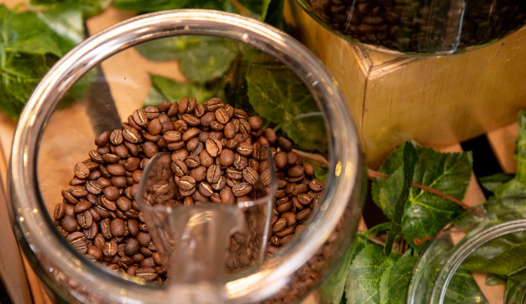 cosecha: En un 4% cayó la producción de café en noviembre
