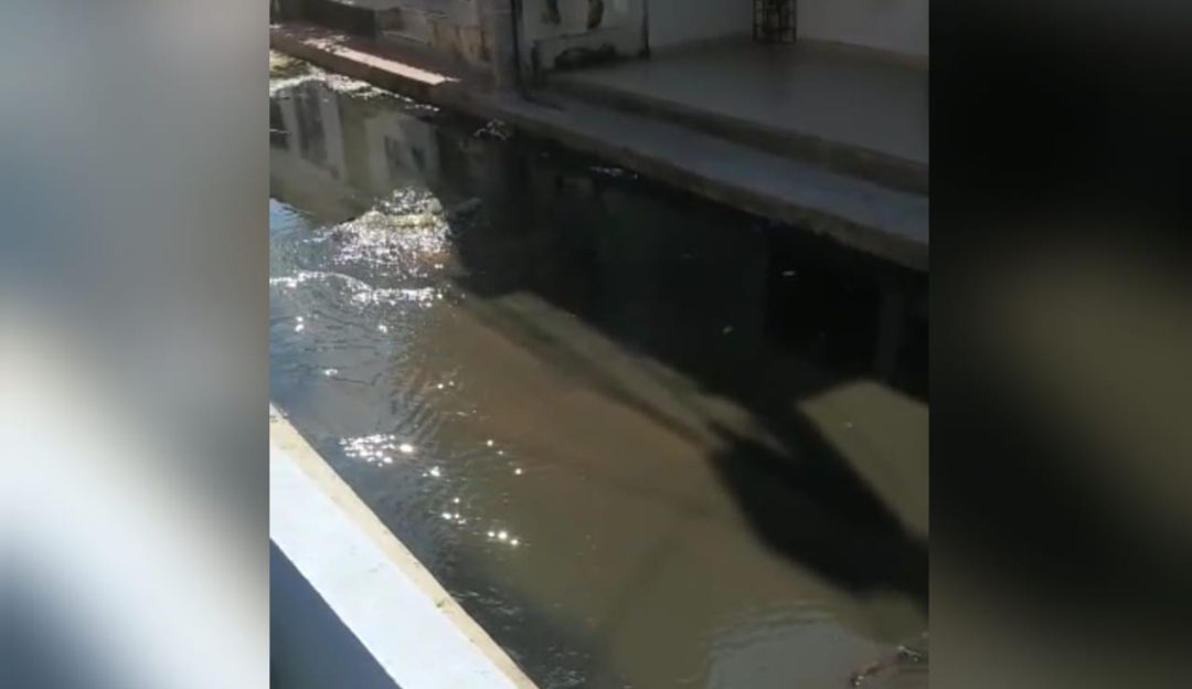 Alcantarillado: Emergencia sanitaria por desbordamiento de alcantarilla en La Pradera