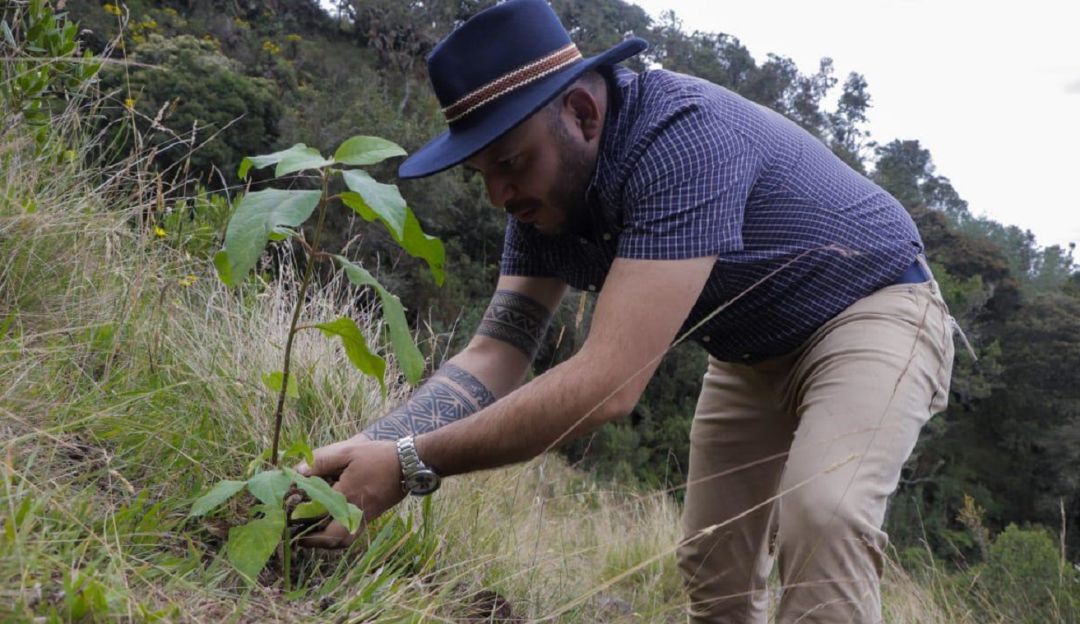 Sembrar un millón de árboles, meta en Boyacá a 2023