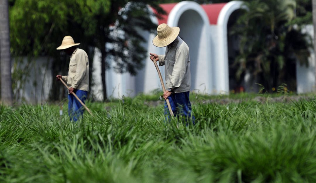 Salud excombatientes: Gobierno aprobó esquemas de salud para excombatientes en el 2021