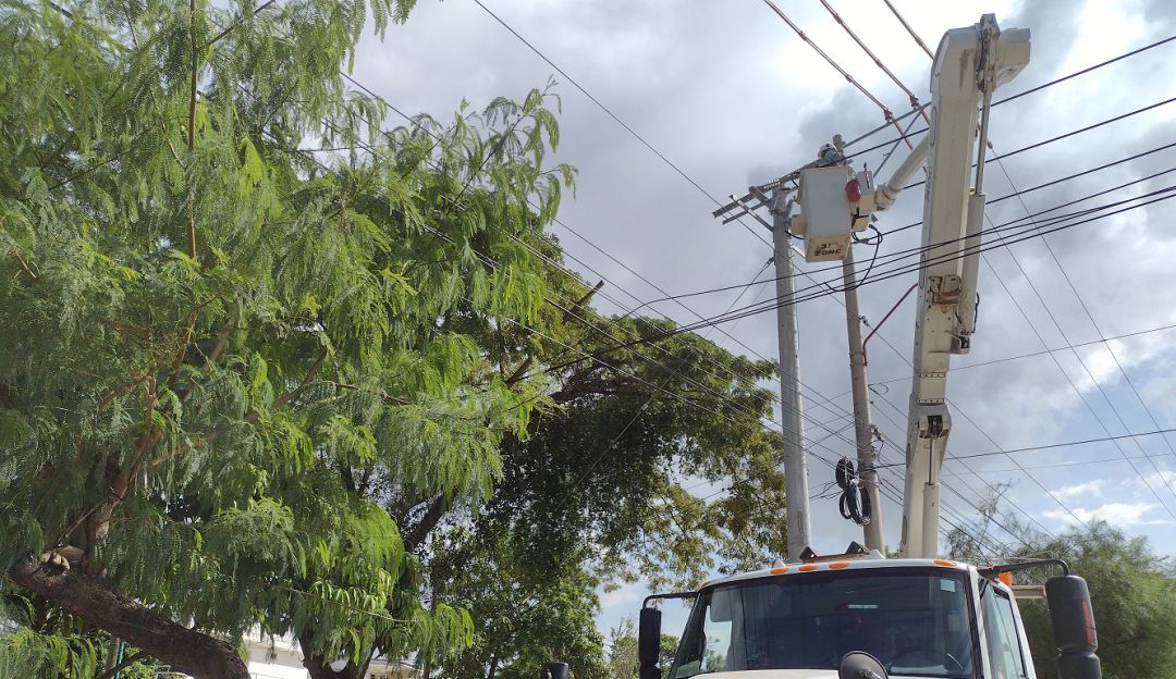 Energía eléctrica en Barú: Este sábado trabajos de Afinia dejarán sin energía a Barú