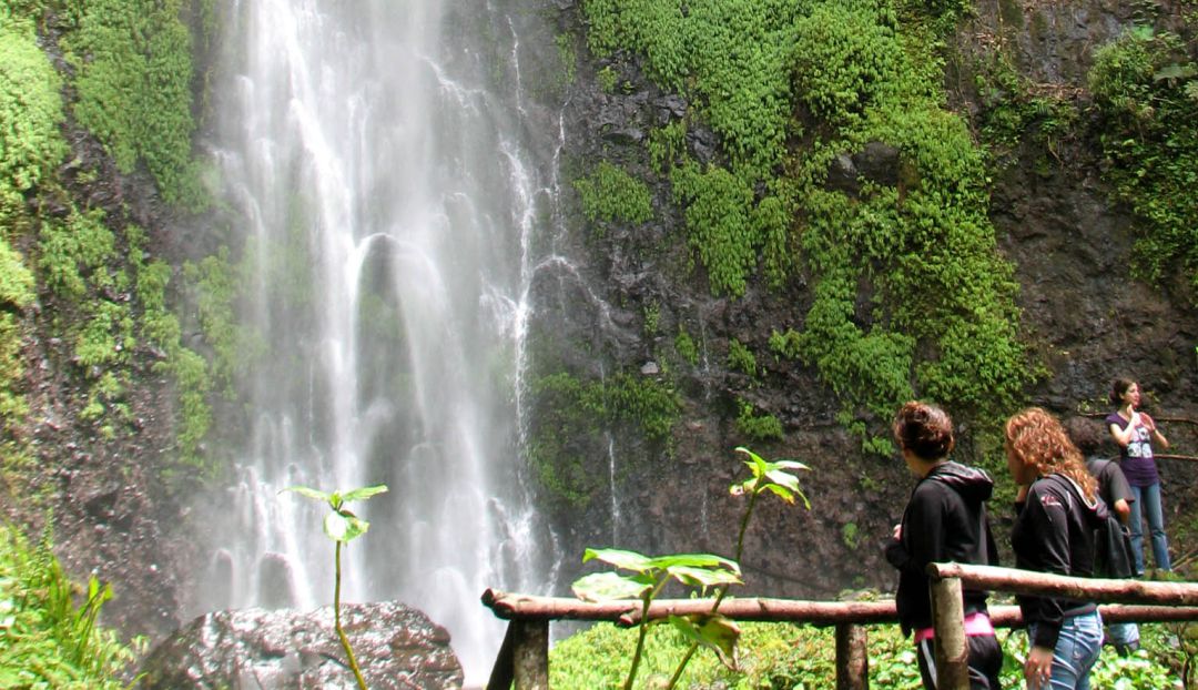 Turismo conectado en algunas regiones con los Parque Nacionales Naturales.