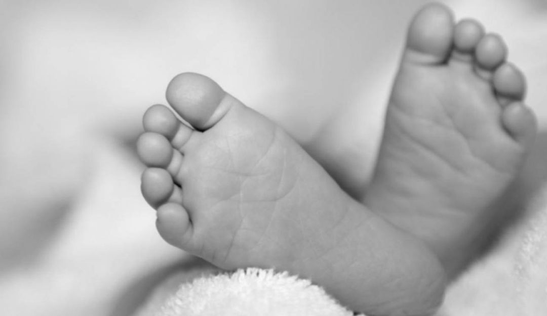 Bienestar hace acompañamiento a bebé que se salvó al ser asesinada su madre: Bienestar hace acompañamiento a bebé que se salvó al ser asesinada su madre
