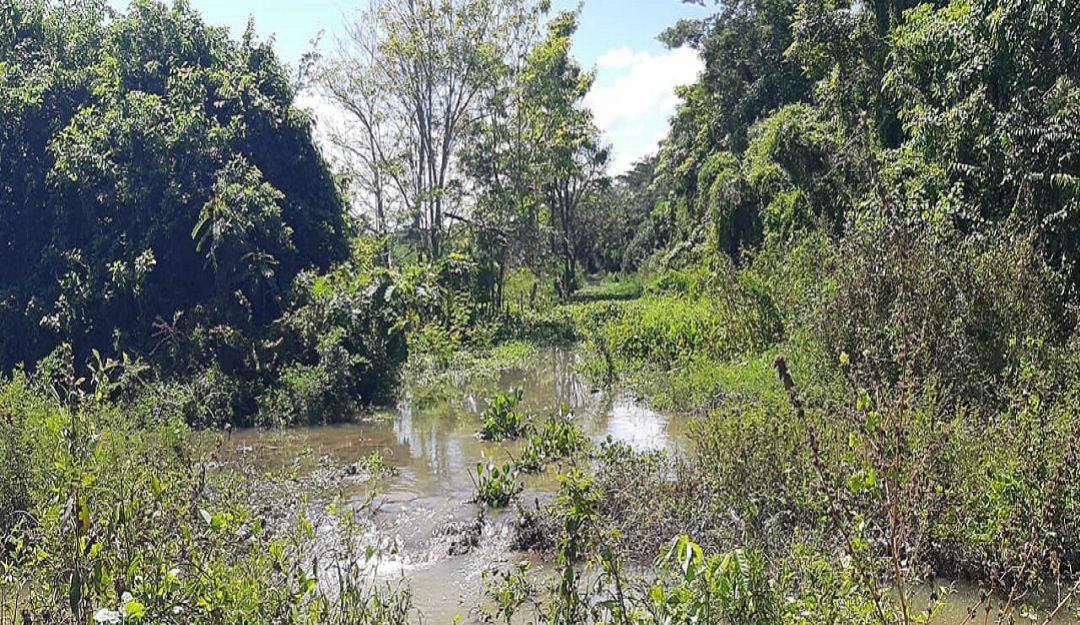 Inundaciones en el sur del Atlántico por taponamiento de canales de drenaje: Inundaciones en el sur del Atlántico por taponamiento de canales de drenaje