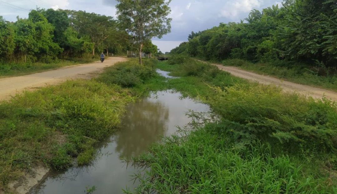 Inundaciones en el Atlántico: Gobernación verifica inundación en fincas del sur del Atlántico