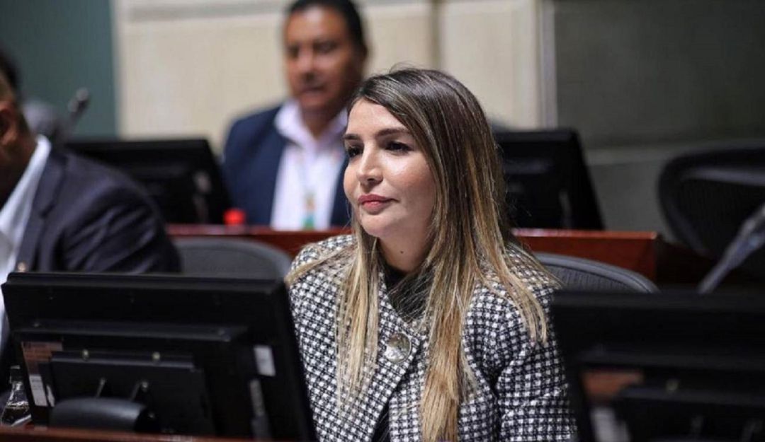 Senadora Nadia Blel