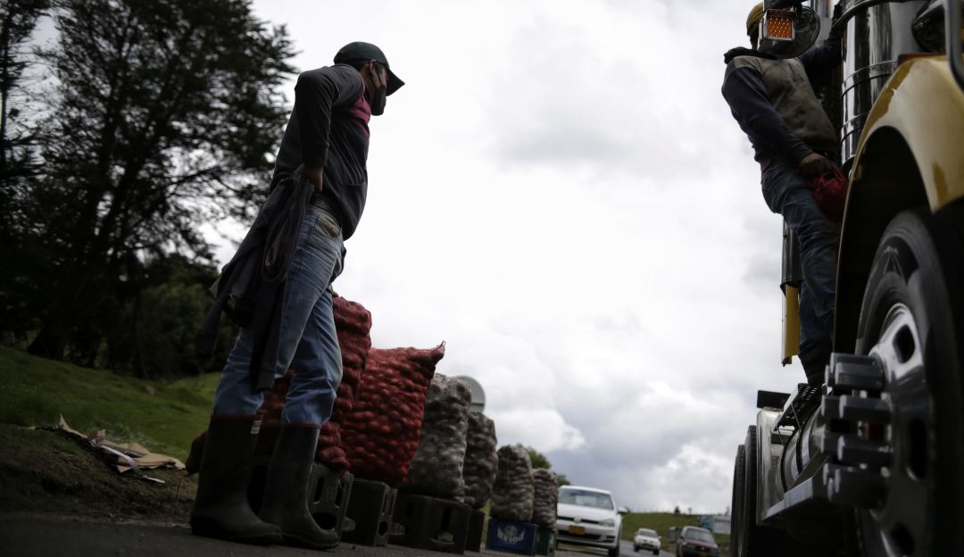 Productores de papa en crisis por sobreoferta
