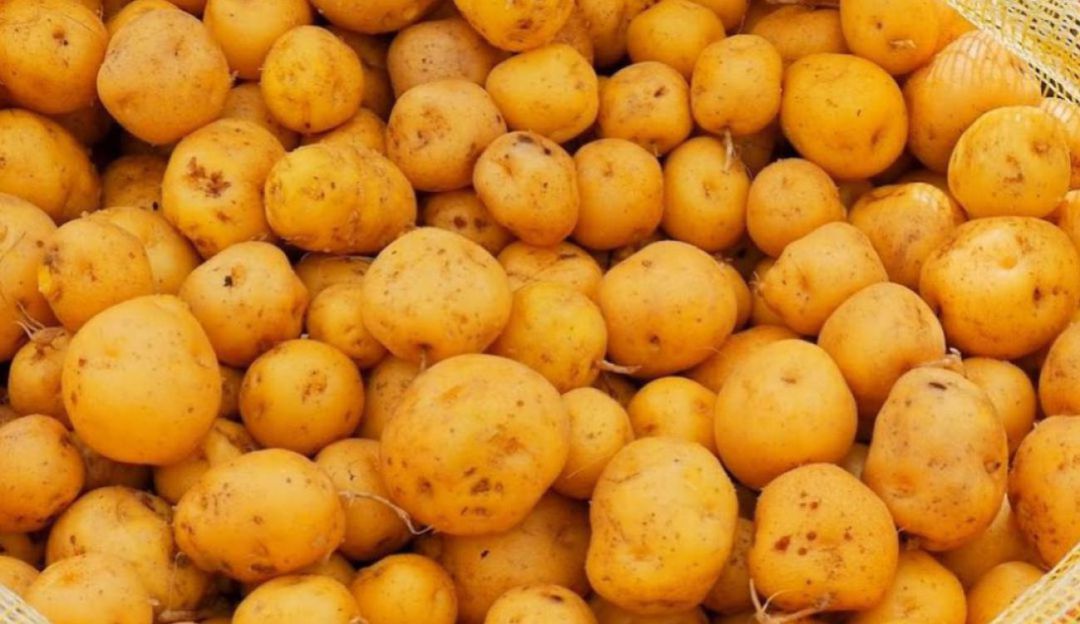 Papas criollas