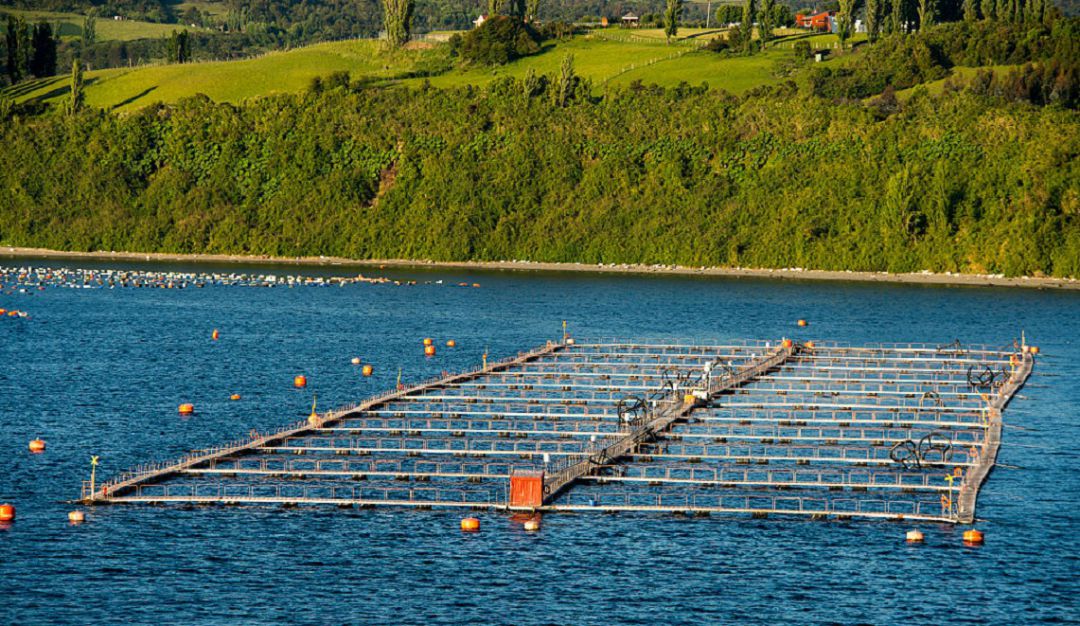 Estanque para producción de peces