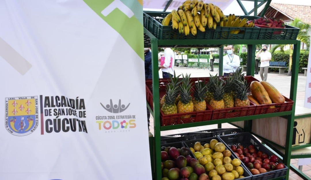 Alimentos