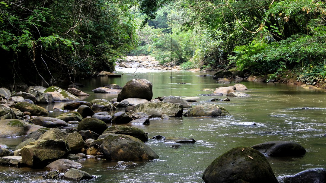 En 2021, 10 Parques Nacionales Naturales se reabrirán al ecoturismo