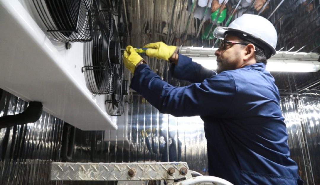 La mayoría de las vacantes cierra postulaciones hasta el 7 de enero