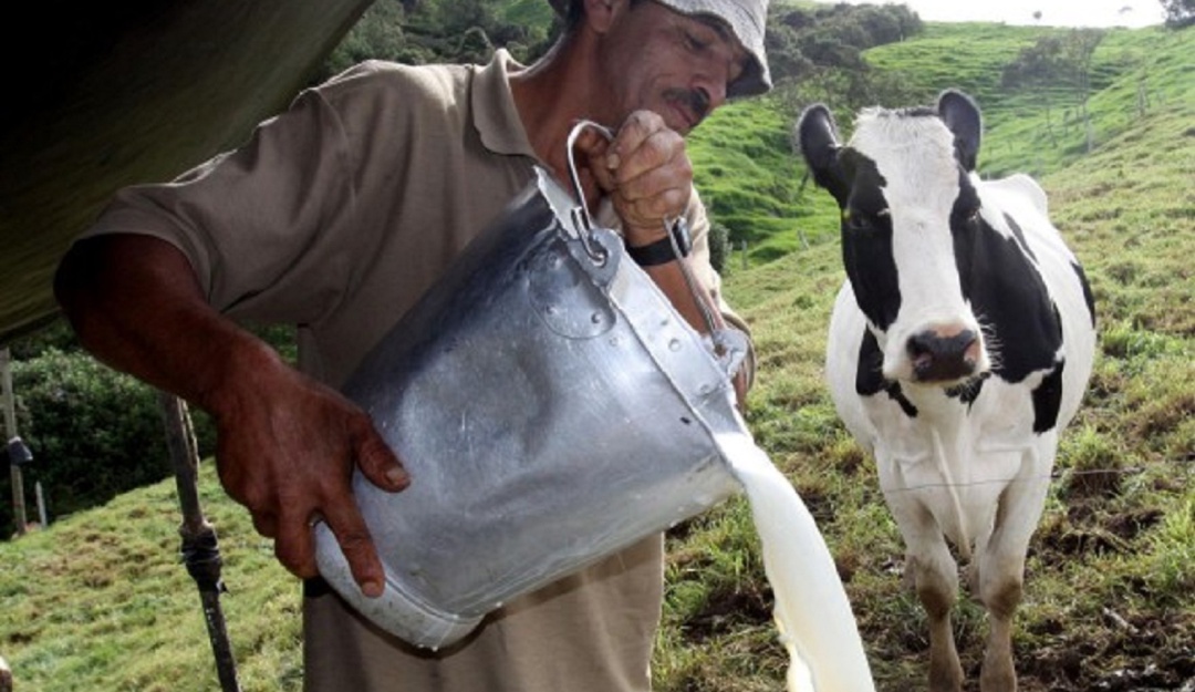 Ganaderos de leche Ganaderos de leche
