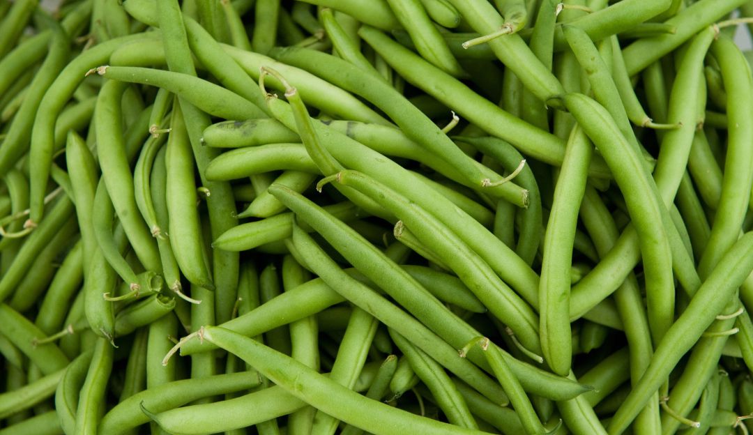 Suben precios de habichuelas en mercados colombianos