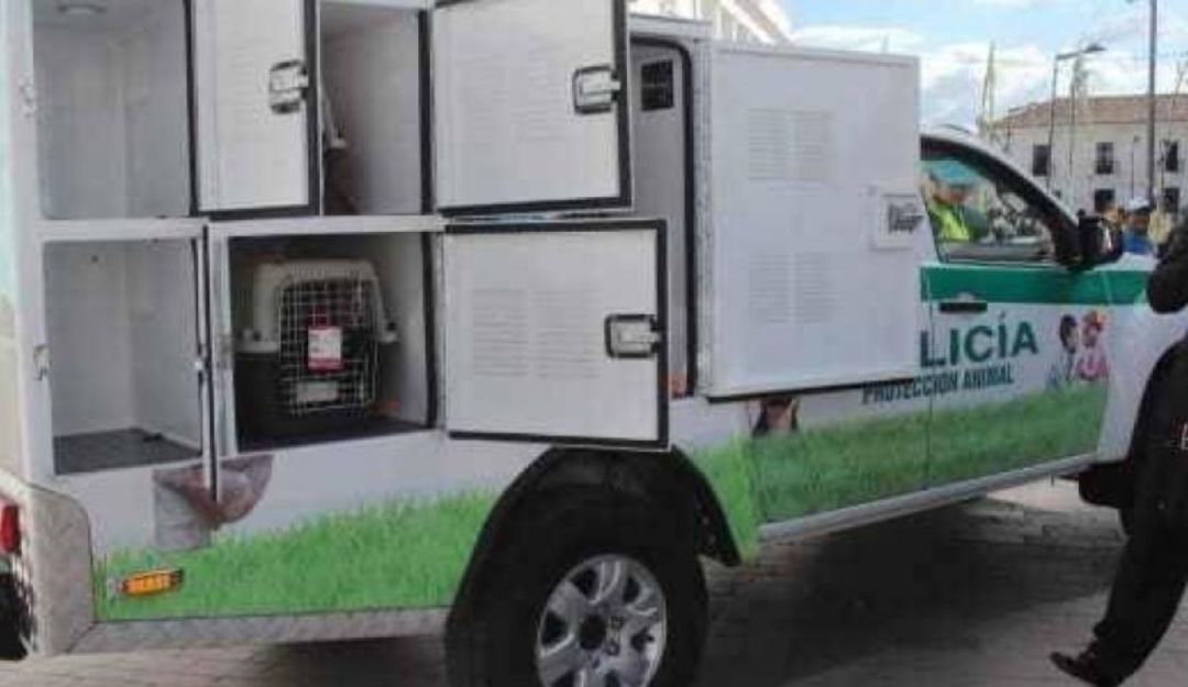 Patrulla animal no llegará este mes a Bucaramanga por crisis del Covid-19