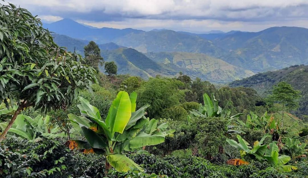 Zona montañosa sel Valle del Cauca