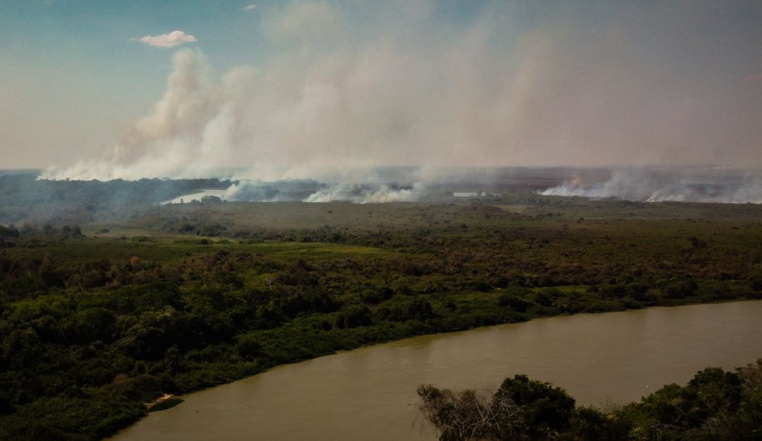 Incendios fuera de control en la región de Pantanal en Brasil.