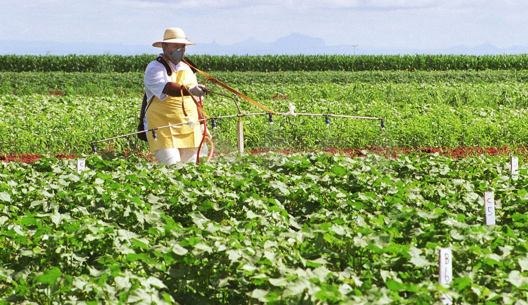 Agricultura en el estado Mato Grosso, Brasil.