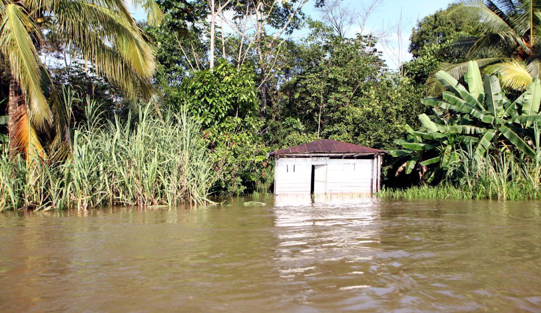 Referencia Fotográfica
