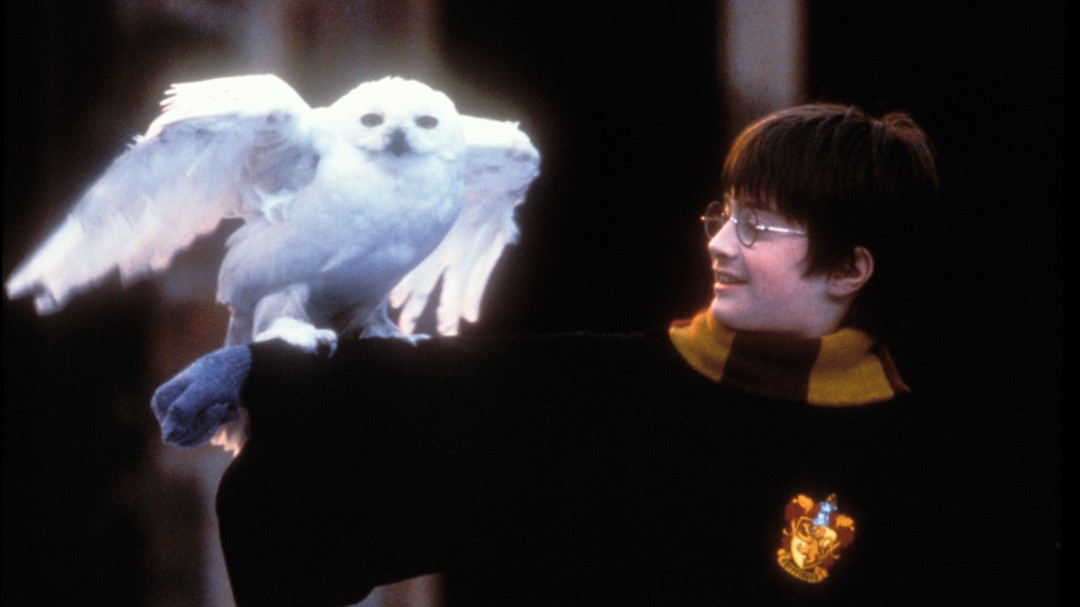Harry Potter: HBO Max trabaja en una serie para expandir el mundo mágico