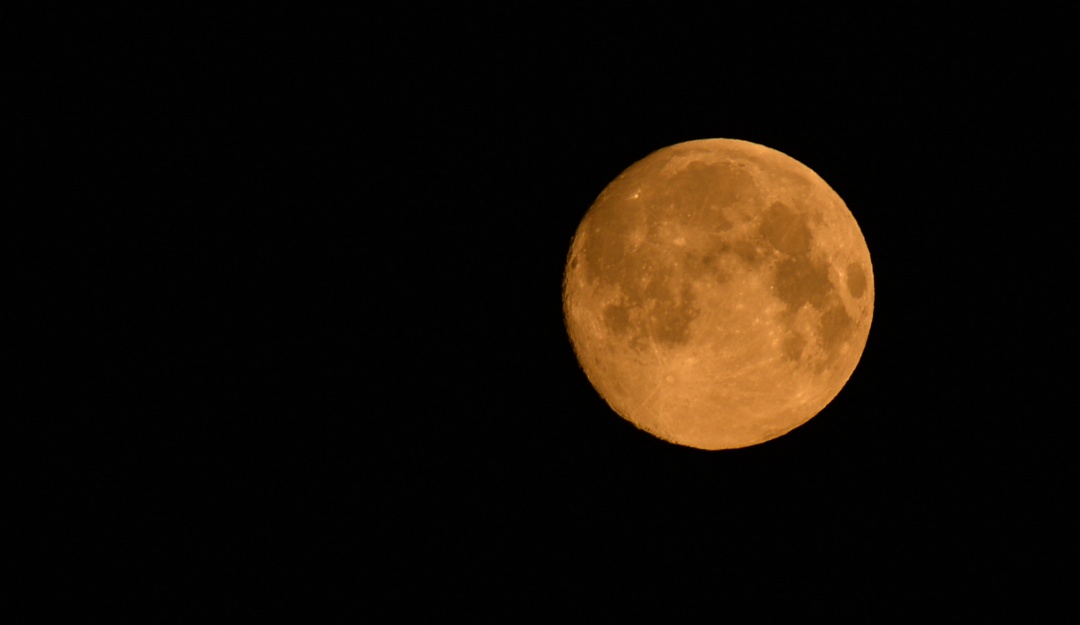 Luna del Lobo, enero 2020