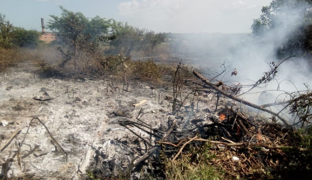 Incendio forestal