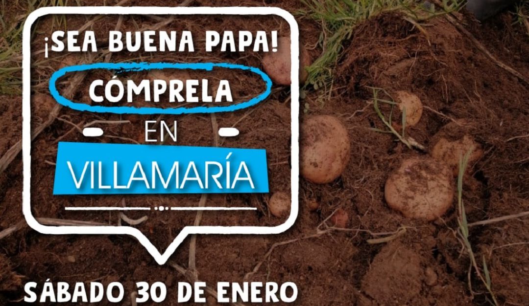 Campaña de compra directa de papa en Villamaría