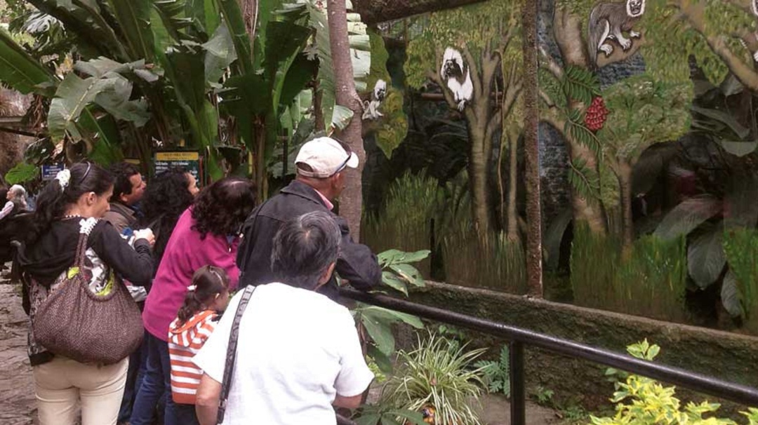Visite el Zoológico Santacruz de Cundinamarca