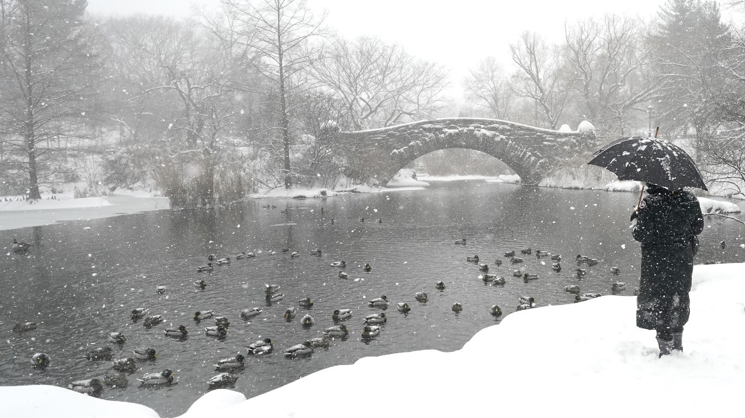 Tormenta de nieve golpea la costa noreste de los Estados Unidos