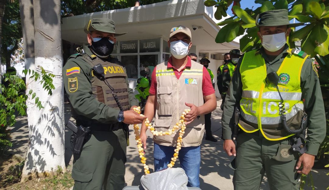 Operativos en contra de la comercialización de huevos de iguana en Cartagena