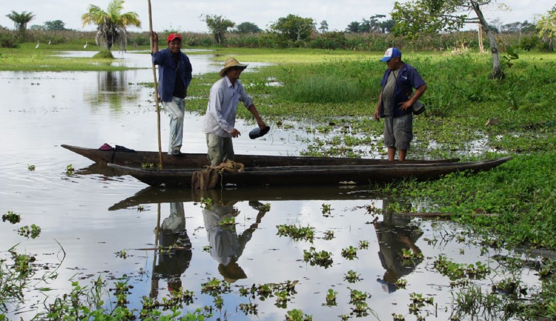 Humedales del Caribe colombiano