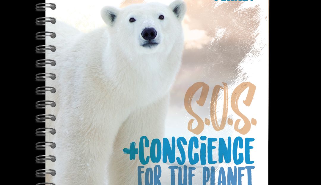 Cuadernos ecológicos