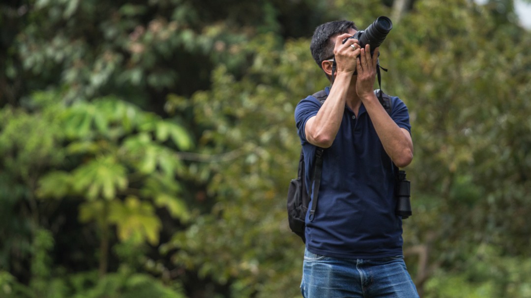 Se reaviva el plan de avistamiento de aves en Manizales