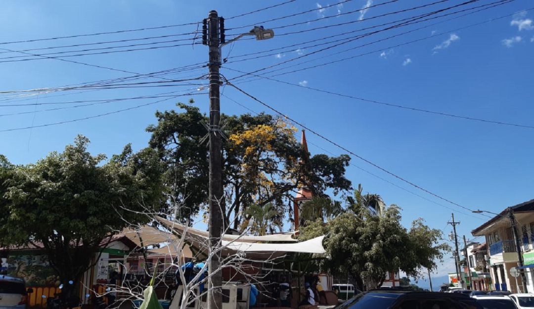 Los días de sol y cielo azul en el departamento del Quindío y los guayacanes florecidos