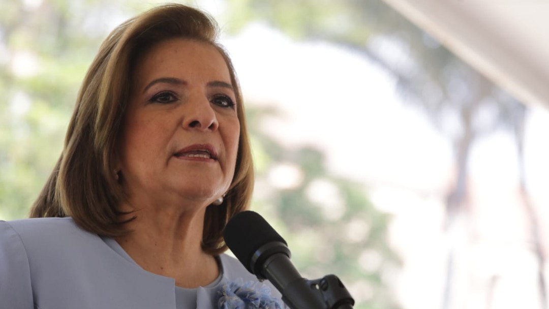 "Margarita Cabello debía esperar un año para ser Procuradora", dice demanda